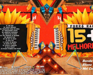 Banda Magníficos , Elaine, Mel Com Terra - Forró Raiz 15+ 2025